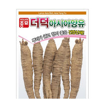 아시아종묘 더덕씨앗 더덕 종자 더덕, 1개