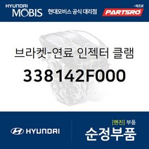 브라켓-연료 인젝터 클램핑 (338142F000) 맥스크루즈 싼타페 더 스타일 올뉴 싼타페 스포티지R 더뉴 스포티지R