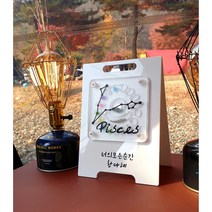 별자리 유치보관함 유치빠질때 투명 어린이이빨보관 탯줄보관 너의모든것, 5)쌍둥이자리