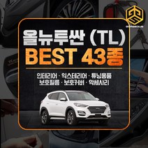 [골져스] 올뉴투싼 TL 튜닝용품 모음 카본몰딩 악세사리 스크래치방지 데칼스티커, 29_도어엣지 PPF보호필름