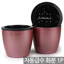 플라스틱 자동급수 칼라 화분 - 중형화분 실내화분 책상화분 인테리어화분 식물 둥근화분 저면관수화분 다육이 선인장 공기정화식물, 01_Sein_자동급수(H6)_로즈골드