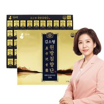 김소형 원방침향단 3.75g x 100환 침향환효능, 100개
