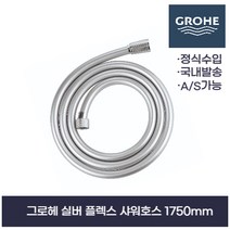 그로헤 실버플렉스 샤워호스 28388000 1750mm 국내배송, 개