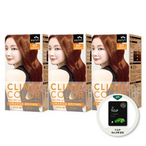 꽃을든남자 크리닉 염색약 3개 TOP 알로에 마스크팩 증정, O7 오렌지브라운(패션칼라용)