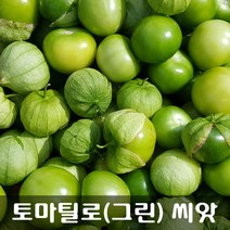 [해피플라워] 멕시칸 요리 재료 토마틸로 그린(Green) 씨앗 300립 / 봄 파종 웰빙푸드 종자