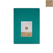 영미네 향균위생도마 (식당 가정 조리학원용) 플라스틱 위생 도마, 그린