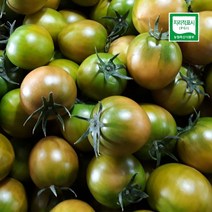 대저 토마토 2.5kg 짭짤 토마토 산지직송, 2.5kg골드과 (7번-3S과)