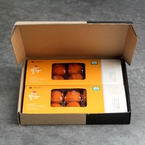 씨없는 청도 반건시 곶감 20개 선물세트 로도 너무좋은 실속형, 반건시 30-40g 30개 세트