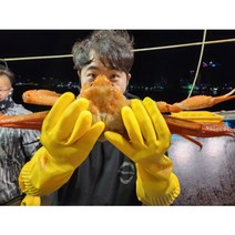 속초 홍게 박달 붉은대게 정품 3kg 산지직송 제철, 활게 프리미엄 박달홍게 2kg(3~5미)