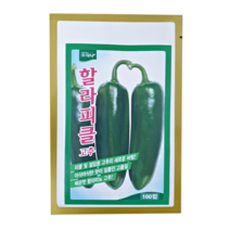 할라피뇨씨앗 100립 멕스코 피클용 장아찌용 고추 씨앗 종자 품종