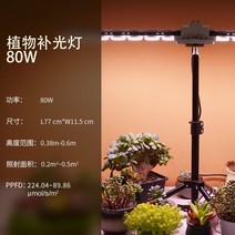 다육이종류 설치 LED 식물등 집에서할수있는취미 야채 상추키우기 가드닝 바형 식내공기정화식물 희귀 성장조명 로즈마리키우는법, 식물성장등_긴줄듀얼스펙트럼-80W(다육채색보광)
