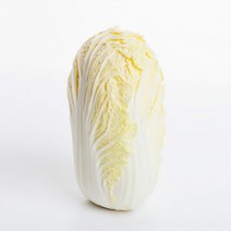 알배기 쌈배추 알배추 4통(3kg 내외), 단품