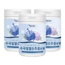 어머니선물 국내산 수국잎열수추출분말 3통 노인 장년, 에너데이 수국잎열수추출분말 100gx3통