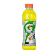 칠성 갈증해소 아미노산 게토레이 레몬 페트 스포츠음료 이온음료 600ML 20개, 20세트