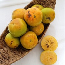산지직송 달콤아삭한 창원 태추단감 3주간만 판매(추석전 9월22일주문마감), 1개, 태추단감 2kg 중대과(1개)