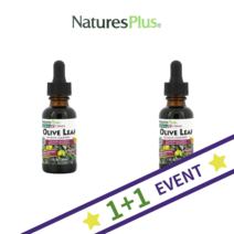 (1+1) 네이처스플러스 무알콜 올리브잎 추출액 올러유러핀 oleuropein 30ml 2팩