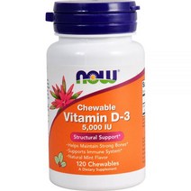 NOW 츄어블 비타민 D3 천연 민트 5000 IU 120 Chewables