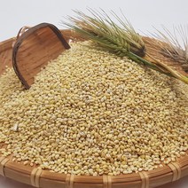 2022년 수확 햇 국산 찰보리 소화잘되는 고향의맛 보리 10kg 20kg, 찰보리 10kg(5kg x 2개), 2개