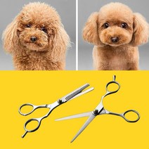 강아지 미용가위 애견 셀프 미용 숱가위 고양이 전문가용 틴닝, 직선형가위
