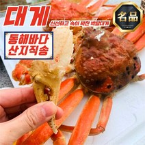동해 준 박달대게 5미 소짜 9-9.4cm (자숙) (1.6-1.8KG) 시세 완장 제철 홍게, B급 자숙연지홍게3KG 10-13미(수율 40-60)