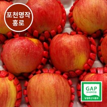 [경기도 포천사과] 고당도 충주 홍로 사과 선물용 3kg 5kg, 1박스