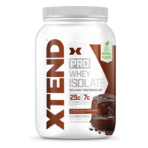 XTEND 엑스텐드 프로틴 파우더 분리 유청 단백질 WPI 826g 초코 BCAA 7g
