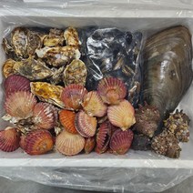 제철 국내산 캠핑 모듬조개세트 2kg / 4kg, 대 (4kg 내외)