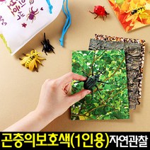 [아트랄라]곤충의보호색놀이(1인용)자연관찰하기/곤충관찰하기, 단품