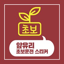 헬로팸 앞유리 초보운전 스티커 디자인10, 노랑색