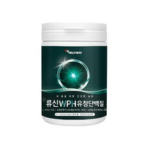 류신 WPH 유청 단백질 L-Leucine 더블유피에이치 protein 프로틴 엘로이신 유청단백가수분해물 완두 단백 분말 유청농축 단백분말 가루 파우더 운동 전후, 5개, 280 g