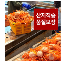 대게찜 포항 죽도시장 구룡포 붉은대게 홍게 제철 당일조업 산지직송 자숙 육수용 프리미엄, 가정용 1.5kg (5~7마리)