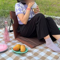 좌식 캠핑 그라운드 체어 피크닉 좌식의자 휴대용 접이식 차박 야외 페스티벌 등받이 의자, 브라운