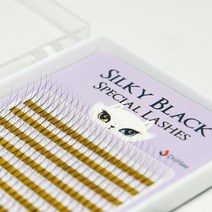 실키블랙 속눈썹 스패셜 래쉬 러시안 볼륨 2D 3D 4D 6D 러볼 속눈썹연장 재료, 2D × 0.07mm, JC컬 × 9mm, 1개