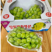 프리미엄 특1급 상주 샤인머스켓 2kg 4kg 백화점납품용 크림슨 가지포도