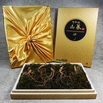 요리보고 새싹부터 산에서키운 진짜 산양삼 선물세트 6년근 총8뿌리, 1박스, 8뿌리