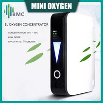 가정용 산소발생기 강아지 산소방 노인 호흡기BMC 1L 산소 발생기 기계 휴대용 호스트 차량 전원 공급 장치, 01 ZYJ001_03 영국 플러그