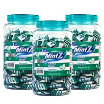 민트지 듀오민트 460g, 3통