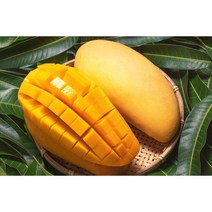 프리미엄 특품 태국 골드 망고, 4kg(8-13과), 1개
