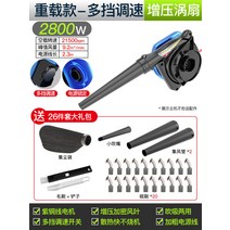 고출력 송풍기 220v 강력 산업용 먼지제거 낙엽정리, 2800W-다단 속도조절+26종세트[CRT]