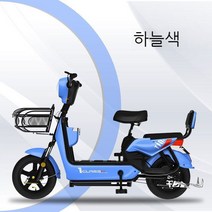 가성비전기자전거 세발 2인용 전기자전거 전동 자전거 자토바이, D. 하늘색