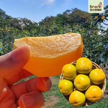 프리미엄 태추단감 배단감 부유단감, 1박스, 10kg (특: 28~33과)