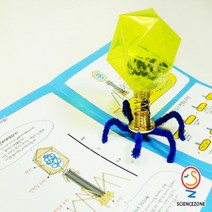 박테리오파지[5인용] 초등과학실험키트, 단품