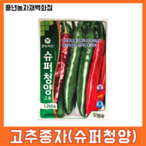 슈퍼청양고추 1200립(흰가루병에 강하고 과가 크고 절간이 짧은 청양고추)