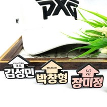 경남자수 주문제작 볼마커 볼마크 볼마킹 골프용품 필드용품 케이스포함, 6.화살표타입(브론즈)