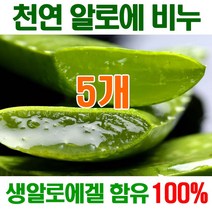 [오후5시 당일발송] 고농축 알로에비누 촉촉촉 보습진정 에너지 생 알로에천연비누 세수비누 비누 알로에 세안비누 천연 얼굴 YB맘, 5개, 100g