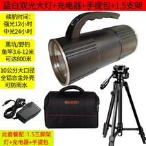 야간 시대 울트라 대출력 솔람 흰빛 야외낚시 대낚시 갑오징어집어등, T03-200W남백 더블라이트 낚시램프 쌕가방