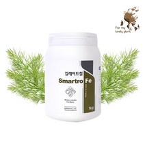 스마트로 Fe 킬레이트철 1kg 철 결핍 생리장해 도움, 1개