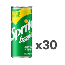 [쇼핑엔티] [S]스프라이트 250ml x 30