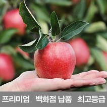 국내산 사과 7.5kg 백화점 납품 감홍 문경 시나노골드 청송 홍옥, 상세페이지 참조, 7500g, ♧◆▷>상품선택▦♧§/<