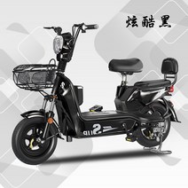 전기자전거 레트로 자토바이 출퇴근 배달 전동 2인용 전기 자전거 장보기 스쿠터 팻바이크, 48V, 12아, 1-20a Tianneng 배터리 수명95km + 3